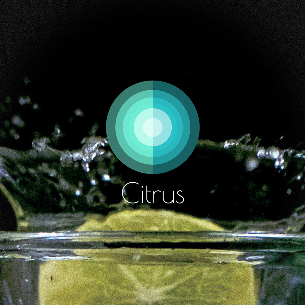 [SoundsGood]Citrus(シトラス) B級品 ※商品説明要確認