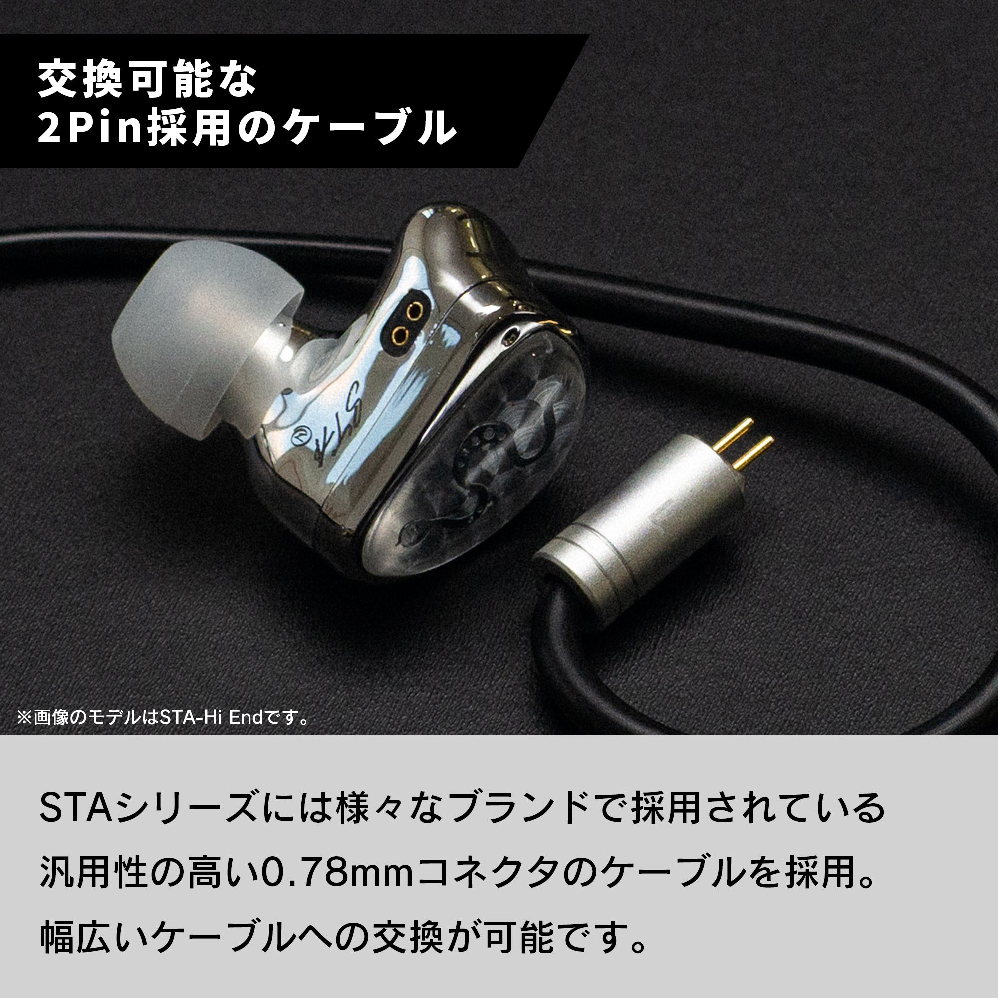 EarAcousticAudio 特別モデル カナル型 イヤホン EarAcousticAudio 特別モデル カナル型 イヤホン