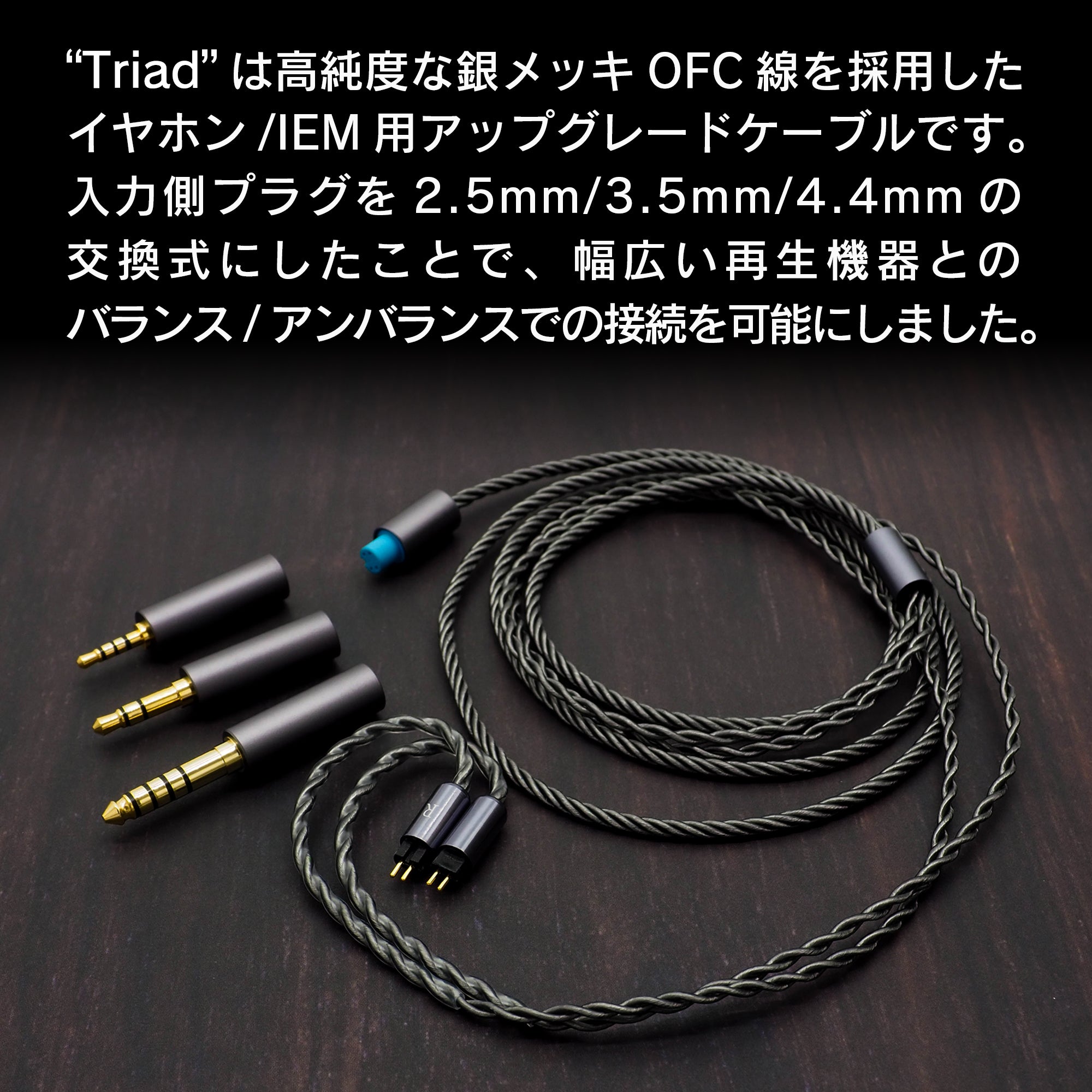 THIEAUDIO Oceania　パラジウムメッキ銀イヤホンケーブル Amazon | THIEAUDIO Oceaniaパラジウムメッキ銀イヤホン